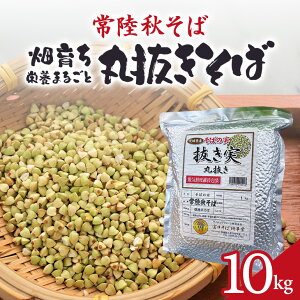 yӂ邳Ɣ[Łz헤H 炿 h{܂邲 ۔ 10kg   \o uh N e Oet[ X[p[t[h Mtg 錧Y Y 84-D