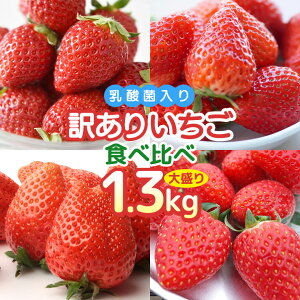 yӂ邳Ɣ[Łz 󂠂R4 TCYႢiႢ̂1.3kg  _ C`S  t[c ʕ  N pbN Zbg 󂠂 A R TCYႢ iႢ g