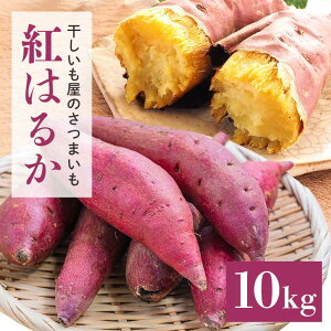 yӂ邳Ɣ[Łẑ܂ig͂邩j Iׂ 5kg 10kg n Tc}C ܈  ׂɂ͂邩 xjnJ Y 錧Y   ₫ Ă Ă Ĉ  XC