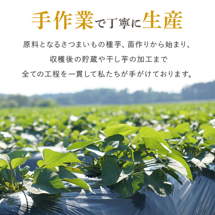 楽天市場】【ふるさと納税】【 定期便 】 干し芋 （ 紅はるか ）選べる 