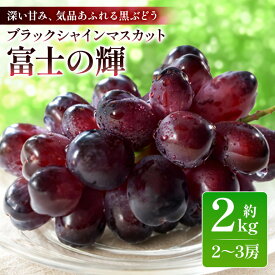 【ふるさと納税】数量限定 期間限定 ブラックシャインマスカット「富士の輝」約2kg（2房～3房） マスカット ブドウ ぶどう 葡萄 皮ごと食べられる ジューシー 果物 フルーツ くだもの ブラック シャインマスカット ウィンク 【9月下旬より順次発送予定】 54-E