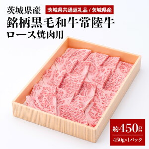 yӂ邳Ɣ[Łz錧Yјa헤[Xēp450g(錧ʕԗi) Ⓚ  [X Ă ē јa Y  j LO Mtg  蕨 j a 29-