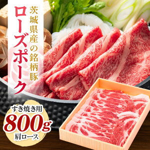 yӂ邳Ɣ[Łz錧Y؃[Y|[N[XĂp800g(錧ʕԗi) Ⓚ ؓ [X Ă [Y|[N Y  j LO Mtg  蕨 j 