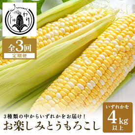 【ふるさと納税】【3回定期便】【Juwari-じゅわり-】お楽しみとうもろこし　4kg以上 野菜 41-G