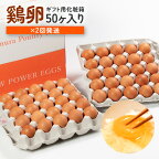  レビューキャンペーン中！ 【2回定期便】卵 計100個 ギフト用化粧箱50個（45＋補償5個）入り ×2回発送 鶏卵 たまご 定期便 タマゴ 玉子 国産 茨城県産 健康 美容 ご飯 すき焼き 目玉焼き 卵焼き 玉子焼き たまご焼き 15-D