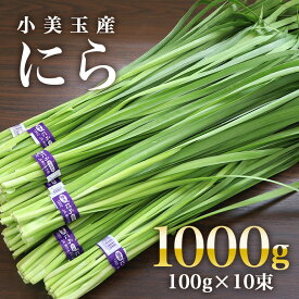 【ふるさと納税】期間限定 数量限定 小美玉市産にら 100g×10束 にら ニラ 生 香味 野菜 料理 惣菜 おかず 1kg 茨城 国産 17-AA ＜5月〜11月発送予定＞