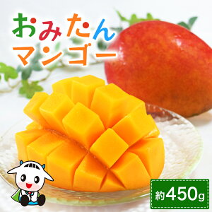 yӂ邳Ɣ[Łz݂}S[ 450g ʌ Ԍ 2025Ns\ n }S[ Y y720`8܂ŏ\z wObhI[jOŏЉx 19-D