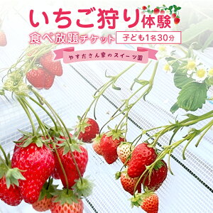 yӂ邳Ɣ[Łz₷Ƃ̃XC[c@̌@qǂ130Hו`Pbg@C`S  t[c ʕ