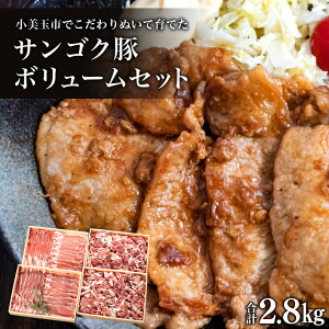 yӂ邳Ɣ[ŁzTSN؁i{[Zbgj v2.8kg Ԃ Ă ؓ ؃o [X  ^pbN Ԃԓ ēp p u^ Y 錧Y Mtg v