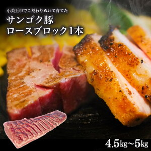 yӂ邳Ɣ[ŁzgÂITSN؁i[X1{j4.5kg`5kg ؓ u^ Y 錧Y Mtg v[g ① 2|E