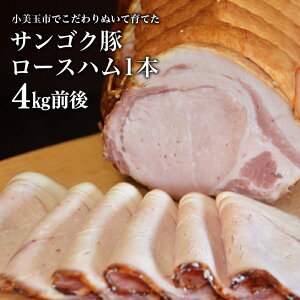 yӂ邳Ɣ[Łz TSN [Xn1{(4kg) yS󒍐Yz Mtg j i 錧Y Y [X ؓ ܂ ① 2|J