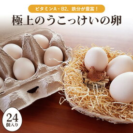 【ふるさと納税】平飼い極上のうこっけいの卵24個（20＋補償4個） たまご タマゴ 玉子 烏骨鶏 烏骨鶏の卵 安全 テレビ TV マニアさん 健康 美容 ご飯 すき焼き 目玉焼き 卵焼き 玉子焼き たまご焼き 卵かけご飯 卵かけごはん TKG 卵 37-A