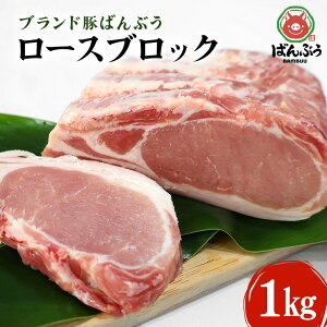 yӂ邳Ɣ[Łzuh؁u΂Ԃv[XubN1kg ΂Ԃ ؓ [X ubN Ԃ Ă ^pbN Ԃԓ ēp p u^ Y 錧Y Mtg 