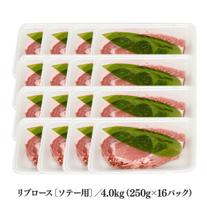 yӂ邳Ɣ[Łzuh؁u΂Ԃv u[X \e[p Iׂ 1kg 2kg 4kg Ⓚ 1L Ղ ؓ ؃[X |[N\e[p ؃u[X 󏭕 Ԃ u^ Y 
