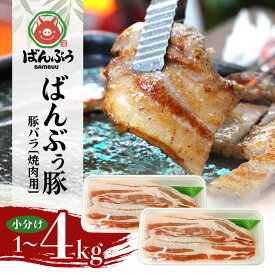 【ふるさと納税】ブランド豚「ばんぶぅ」小分け 豚バラ 焼肉用 選べる 1kg 2kg 4kg 冷凍便 1キロ 豚肉 豚バラ肉 豚バラスライス肉 焼き肉用 やき肉用 やきにく用 ヤキニク用 薄切り肉 うす切り肉 ぶた肉 ポーク ブタ肉 国産 茨城県産 ギフト プレゼント お祝い