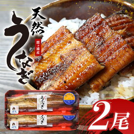 【ふるさと納税】霞ヶ浦産天然うなぎ 蒲焼き 大 2尾（100～130g×2）うなぎ 国産 天然 ウナギ 鰻 約170g 国産うなぎ 国産ウナギ 国産鰻 天然うなぎ 天然ウナギ 天然鰻 茨城県産 無添加 保存料不使用 冷凍 49-B