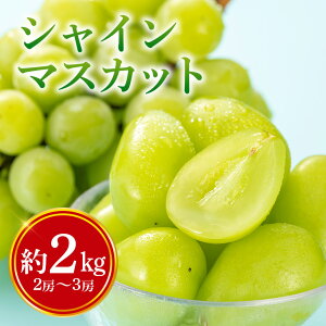 yӂ邳Ɣ[ŁzVC}XJbg 2kgi2[`3[j }XJbg Ԍ ʌ uhE Ԃǂ 炲ƐHׂ W[V[ ʕ t[c  ܂ Ԃǂ y9{