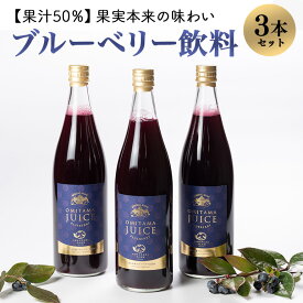 【ふるさと納税】果汁50％ブルーベリー飲料3本セット ブルーベリー ブルーベリー飲料 フルーツ 果物 フルーツジュース ジュース ビタミンE アントシアニン 栄養 目にいい 健康 美容 瞳の健康 ギフト 贈り物 茨城県産 人気 プレゼント セット ドリンク 9−A