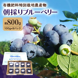 【ふるさと納税】朝採り生ブルーベリー 800g（100g×8） 大粒 小分け 有機肥料 特別栽培 国産 茨城県産 冷蔵 朝採れ 朝どり 朝どれ 生果 ブルーベリー フルーツ 果物 くだもの とれたて 新鮮 ぶるーべりー 【6月中旬以降発送予定】