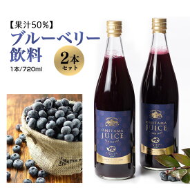 【ふるさと納税】果汁50％ブルーベリー飲料2本セット ブルーベリー ブルーベリー飲料 フルーツ 果物 フルーツジュース ジュース ビタミンE アントシアニン 栄養 目にいい 健康 美容 瞳の健康 ギフト 贈り物 茨城県産 人気 プレゼント セット ドリンク 9−L