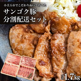 【ふるさと納税】サンゴク豚（分割配送セット） 合計1.7kg（850g×2回）【定期便】 しゃぶしゃぶ 焼き肉 豚肉 豚バラ肉 ロース 小分け 真空パック 豚しゃぶ しゃぶしゃぶ肉 焼肉用 お鍋用 ブタ肉 国産 茨城県産 ギフトプレゼント 高級部位 2-A