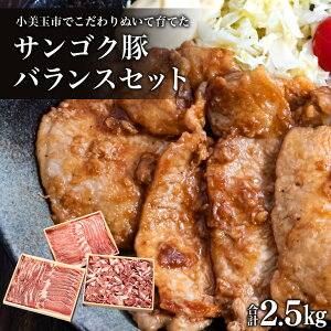 yӂ邳Ɣ[ŁzTSN؁ioXZbgj v2.5kg Ԃ Ă ؓ ؃o [X  ^pbN Ԃԓ ēp p u^ Y 錧Y Mtg v[