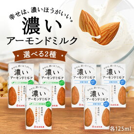 【ふるさと納税】濃いアーモンドミルク 125ml 選べる2種（たっぷり食物繊維・砂糖不使用）飲料 飲み物 珈琲 焙煎 ヴィーガン 健康飲料 ダイエット 植物由来 アーモンド 47-SKU-AX