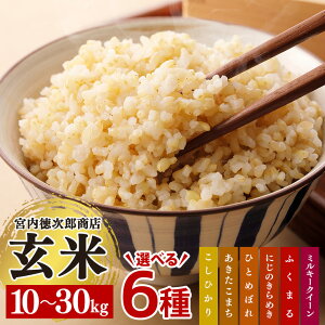 yӂ邳Ɣ[Łz{YX̑Iׂ錺6i10kg/20kg/30kgj Ђ ܂ ЂƂ߂ڂ ɂ̂߂ ӂ܂ ~L[NC[     ͂  Pꌴ