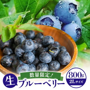 yӂ邳Ɣ[ŁzyAC̋ʁzIEݐu[x[(2L) ʌ Ԍ u[x[ t[c ʕ  ① 嗱 VN  Y 73-A y2026N615菇\E731