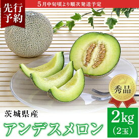 【ふるさと納税】メロン めろん 茨城 秀品 フルーツ 先行予約 007-1茨城県産アンデスメロン【秀品】約2kg（2玉）