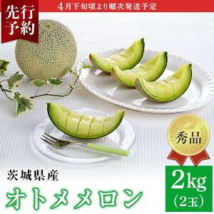 yӂ邳Ɣ[Łz ߂  Gi t[c s\ 007-2 Ig Gi 2 2kg 錧 JAˎY