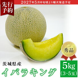 【ふるさと納税】フルーツ 先行予約 メロン 茨城 秀品 082-3 イバラキング 秀品 3~5玉 約5kg 茨城県 JA水戸産