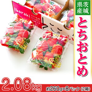 yӂ邳Ɣ[Łz s\ ƂƂ C`S  200錧YuƂƂ߁v2.08kgi28pbNjy2026N1{`3{\z