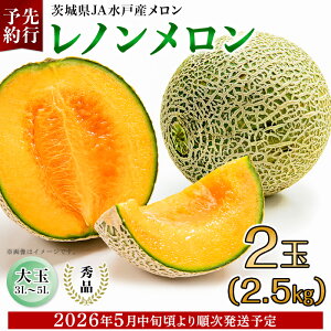 yӂ邳Ɣ[Łz ߂   Gi t[c s\ 213 m Gi  2 2.5kg 錧 JAˎY ߂ ԓ s\ 2026N5{蔭\