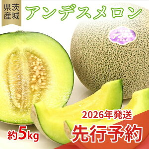 yӂ邳Ɣ[Łz608 AfXyGiz5kgi3`5ʁjs\ t[c  錧Y lC ʕ  yƎҁF Kz