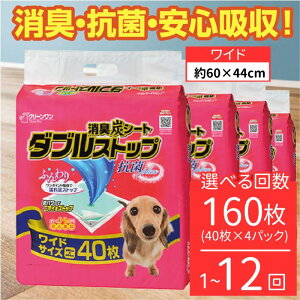 yӂ邳Ɣ[ŁzLV[g _uXgbv Ch 40×4  3 6 12 V[YCVn N[ ybgV[c p L R YV[g ybgV[g