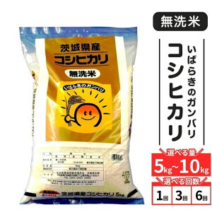 �y�ӂ邳�Ɣ[�Łz�� ������ �ߘa7�N �����Ђ��� �K���o���R�V�q�J�� ��錧�Y ������ �R�V�q�J�� �I�ׂ�e�� 5kg�`15kg�@�I�ׂ�� �����