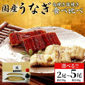【ふるさと納税】うなぎ 鰻 高級 ウナギ 化粧箱入り 選べる 2尾～5尾 約220g～550g 贈答 贈り物 グルメ ご褒美 簡単調理 丑の日 蒲焼 たれ 人気 白焼き 蒲焼き 食べ比べ 国産 有頭うなぎ