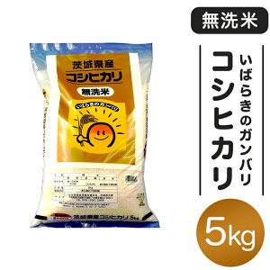 【ふるさと納税】米 無洗米 令和7年 こしひかり ガンバリコシヒカリ 151【令和7年産】茨城県産 無洗米 コシヒカリ 5kg