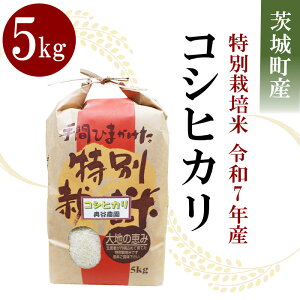 yӂ邳Ɣ[Łz027yߘa7NYzRVqJ J񂿂̓ʍ͔| 5kgyJ_z