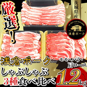 yӂ邳Ɣ[Łzؓ  o [X Ԃ Hה  Ⓚ ^ pbN Y 錧Y 248II錧Yq|[NԂ3Hה׃Zbg1.2kgiEoE