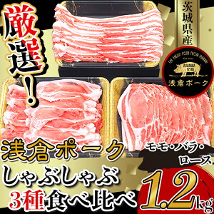 yӂ邳Ɣ[Łzؓ  o [X Ԃ Hה  Ⓚ ^ pbN Y 錧Y 249II錧Yq|[NԂ3Hה׃Zbg1.2kgiEoE[