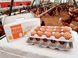 yӂ邳Ɣ[Łz܂  VN ͂ Y 279̍i30j