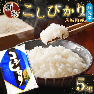 【ふるさと納税】684 【令和7年産】茨城町産 無洗米 こしひかり 5kg【野口ライス】
