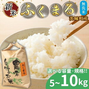 �y�ӂ邳�Ɣ[�Łz�y�ߘa7�N�Y�z������ �ӂ��܂� �I�ׂ�e�� 5kg�`10kg �g�ݍ��킹 ��錧�Y �āy������C�X�z