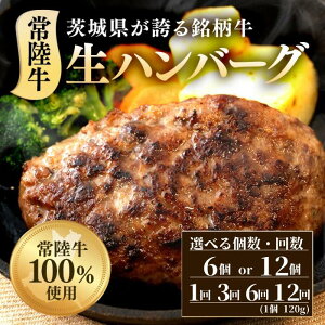 �y�ӂ邳�Ɣ[�Łz�n���o�[�O ���� �� ���јa�� �Ⓚ ���Y �ґ� ���n���o�[�O �I�ׂ�e�� 120g× 6~12�� ����� �헤�� 100��