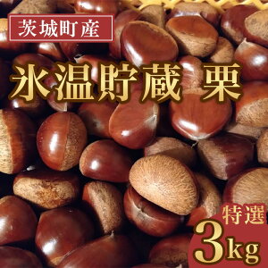 yӂ邳Ɣ[Łz693 X I I 3L 3kgyCVV_z