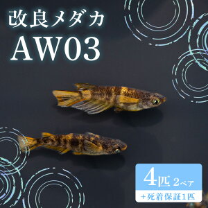 yӂ邳Ɣ[Łz680 _J AW03 2yA(4C) ǃ_Jygn^߂z