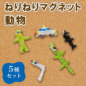 �y�ӂ邳�Ɣ[�Łz691 �˂�˂�}�O�l�b�g 5��Z�b�g ���� ��Q��������̎���}�O�l�b�g�y�Љ���@�l ���␬��z