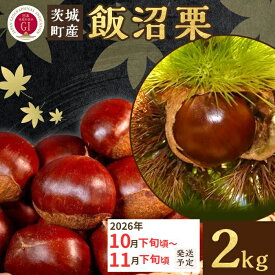 【ふるさと納税】飯沼栗 くり 高級 栗 数量限定 フルーツ 先行予約 029 飯沼栗 2kg 高級 茨城県 茨城町産 ブランド くり 希少 品種 数量 限定 先行予約 2026年10月下旬～11月下旬頃発送予定